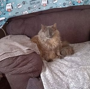 Meet your Posher, Janice